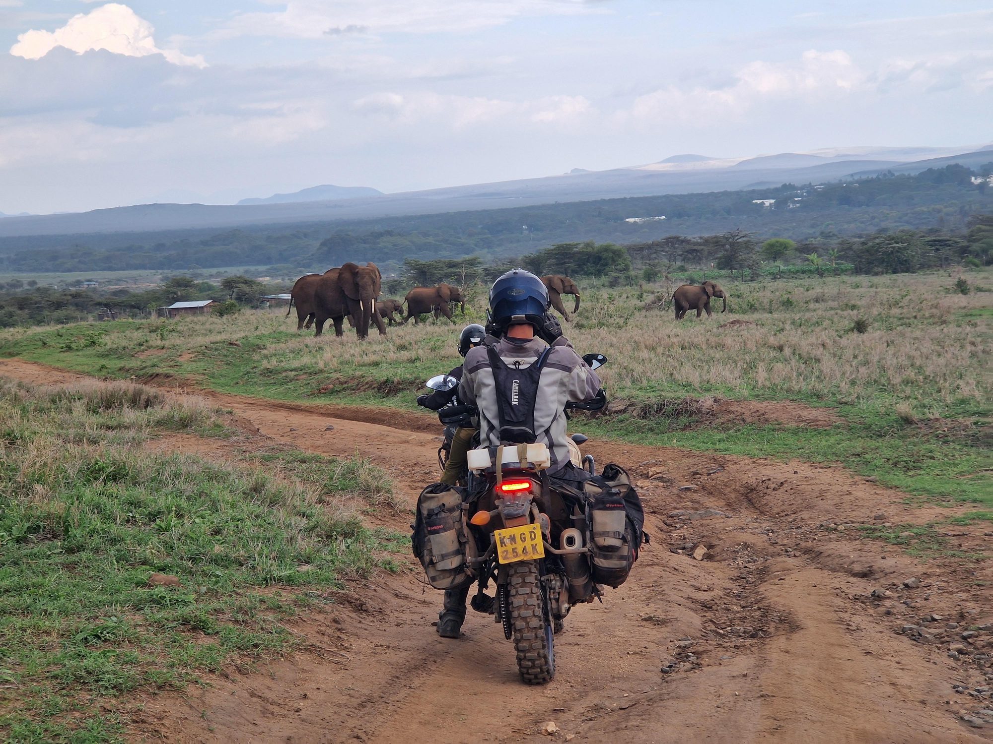 A rider on a motorbike on open ground, a herd of elephants behind him