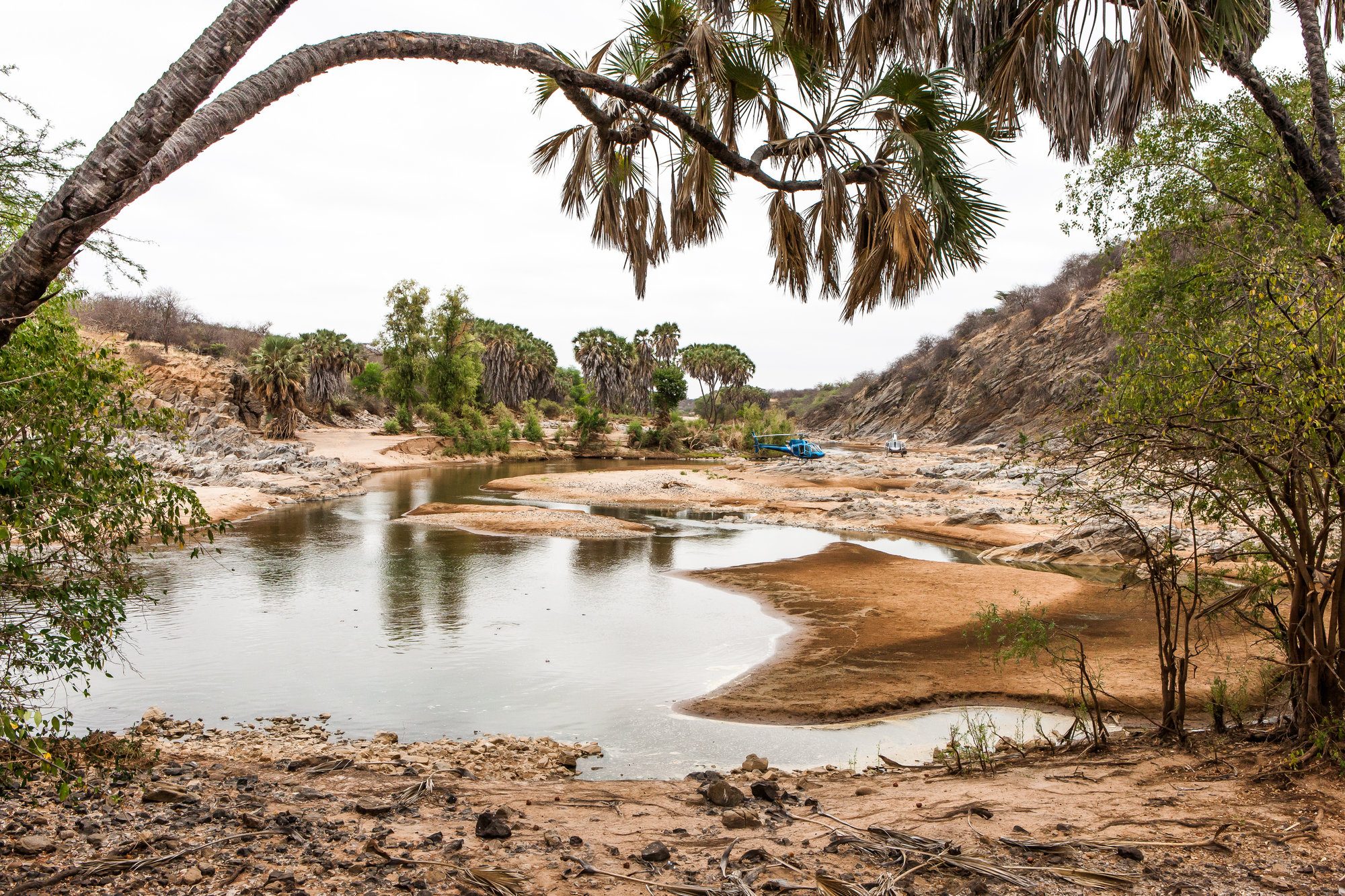 A palm-fringed pool in the dry riverbed near Koros Camp